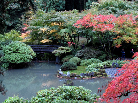 Jardines japoneses: comunin con la naturaleza